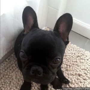 Meet your Posher, Scott